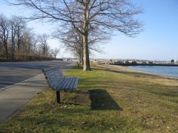 Memorial Benches