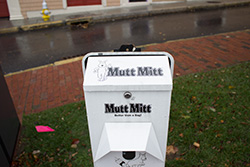 Mutt Mitt Program